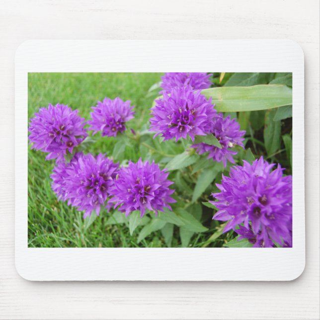 lila blommor musmatta (Framsidan)