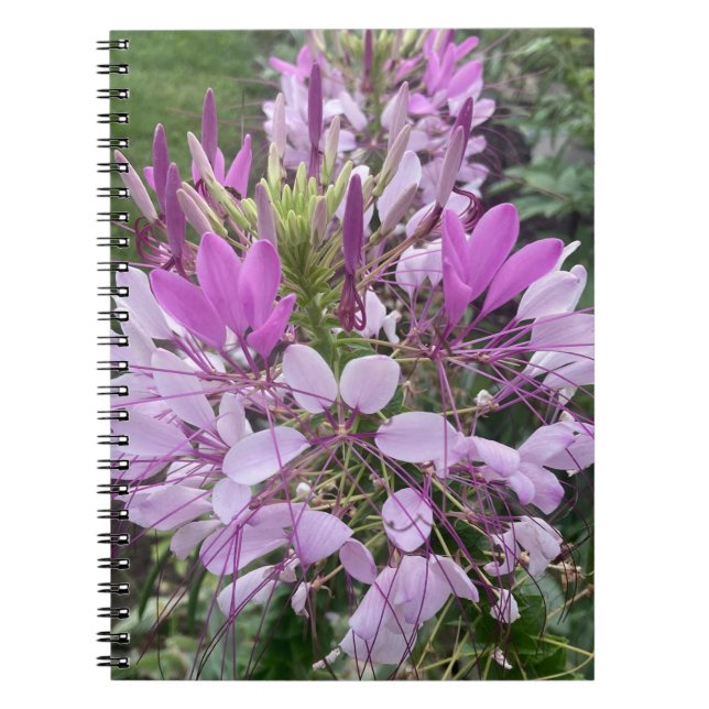 Lila blommor not bok anteckningsbok (Framsidan)