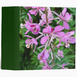 lila Blommor och grönt löv