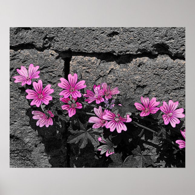 Lila blommor poster (Framsidan)