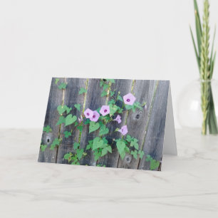 Lila blommor som växer i stängda sympatier kort
