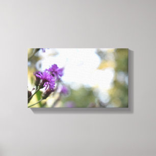 Lila blommor Sommarfotografi, Blommigt Canvastryck