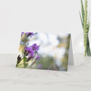 Lila blommor Sommarfotografi, Blommigt Kort