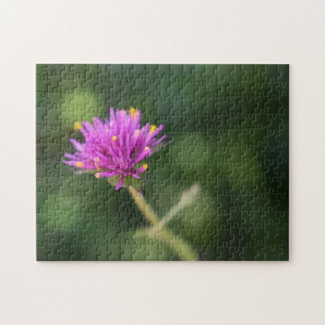 Lila blommor Sommarfotografi, Blommigt Pussel (Horisontell)