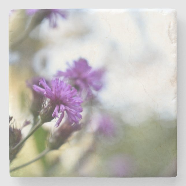 Lila blommor Sommarfotografi, Blommigt Stenunderlägg (Framsidan)