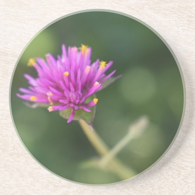 Lila blommor Sommarfotografi, Blommigt Underlägg Sandsten (Framsidan)