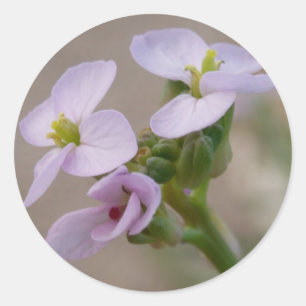 Lila blommor Stickers Runt Klistermärke