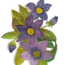 lila blommor
