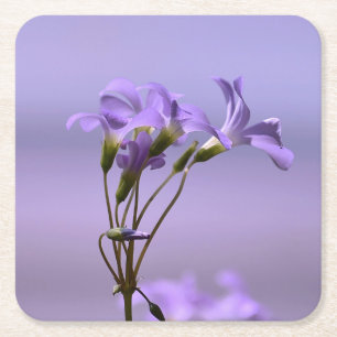 Lila blommor Underlägg Papper Kvadrat
