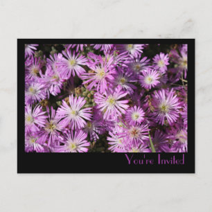 Lila blommor vykort