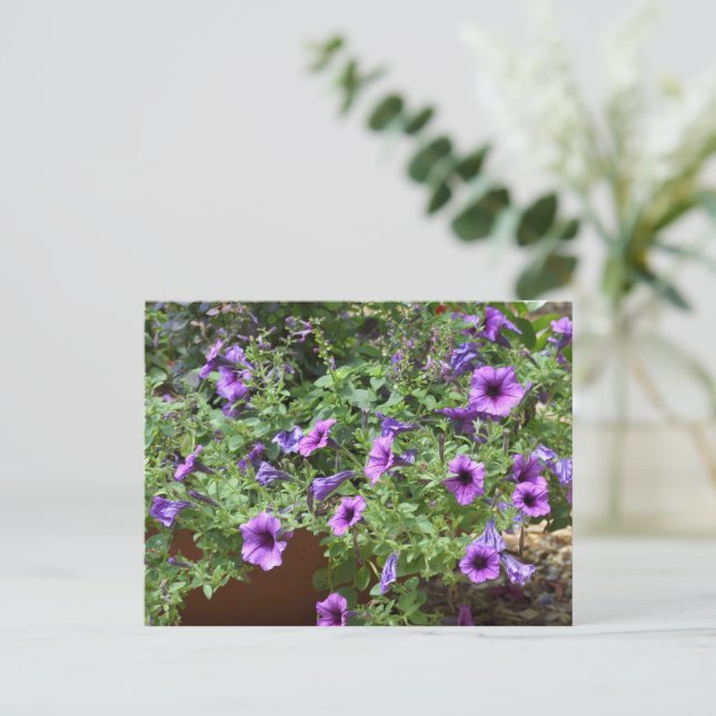 Lila blommor vykort (Stående Fram)