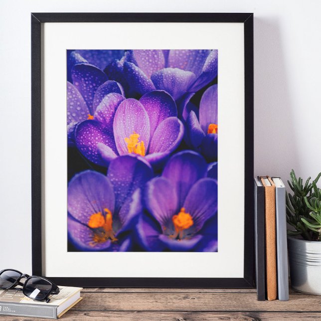Lila blommor Wall Art | Lila Lotus Flower Poster (Skapare uppladdad)