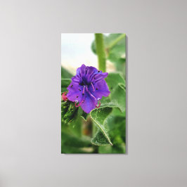 Lila blomstervårflora samling canvastryck