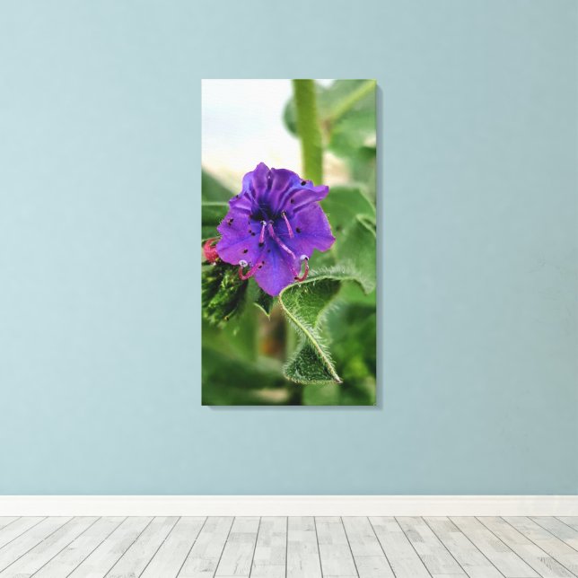 Lila blomstervårflora samling canvastryck (Insitu (trägolv))