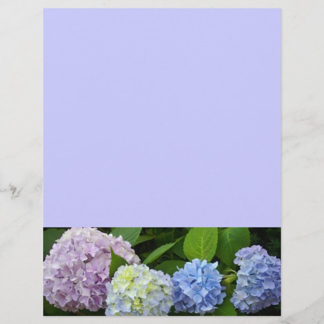 Lila blue blommigt Hydrangeas (Framsida)