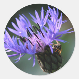 Lila Blue Cornblomma Bröllop Gift Sticker Runt Klistermärke