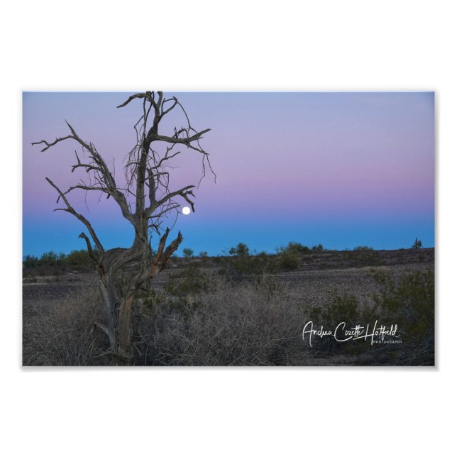 Lila Blue Desert Måne Fototryck (Framsidan)