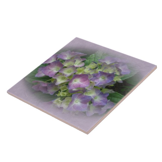 Lila Blue Hydrangea Flowers Kakelplatta (Sidan)