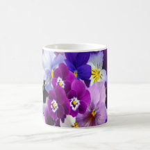 Lila Blue White Pansy Blommigt Flowers