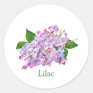 Lila, botanisk vattenfärg runt klistermärke