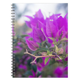 Lila bougainvillea blommor anteckningsbok