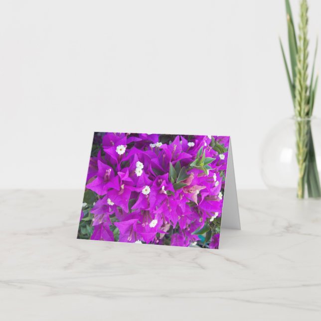 Lila Bougainvillia Photo Folant Note Card Anteckningskort (Framsida)