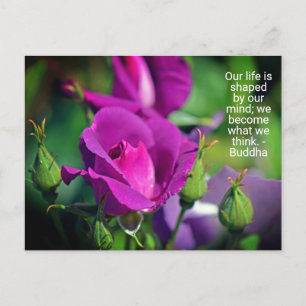 Lila Budding Ro Motivative Quote Postcard Vykort