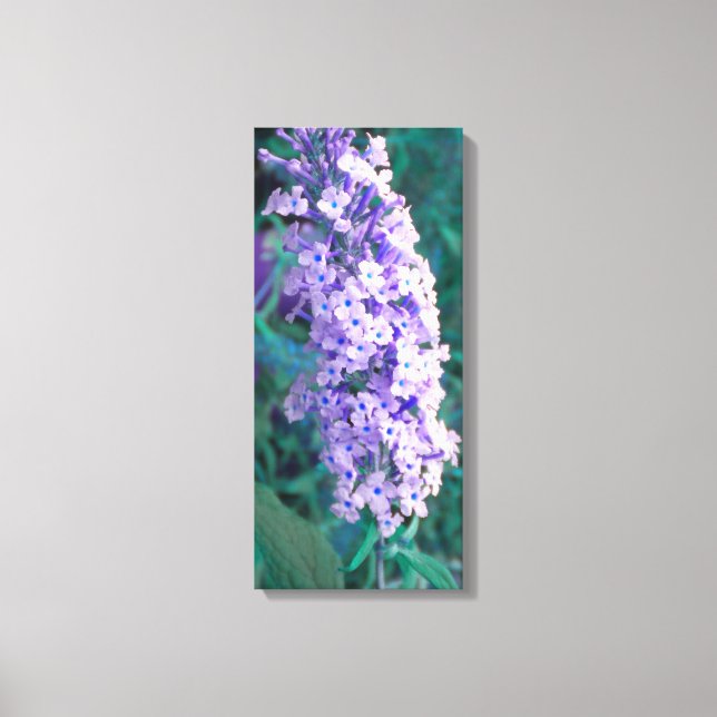 Lila Butterfly Bush Wrapped Canvas (Framsida)
