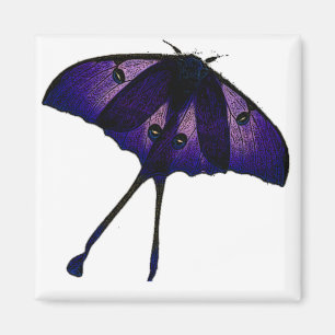 Lila Butterfly i Vår Garden Nature Photo Magnet
