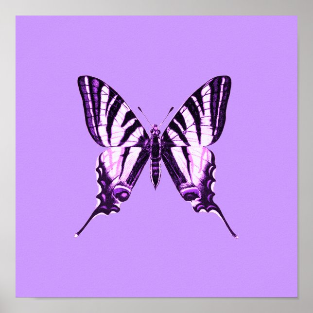 Lila Butterfly Poster (Framsidan)