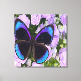 Lila Butterfly Premium Wrapped Canvas
