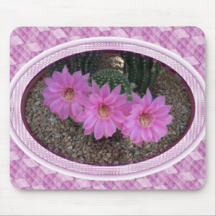 Lila Cactus Flowers Musmatta