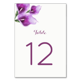 Lila Calla Lily Bordsnummer Cards