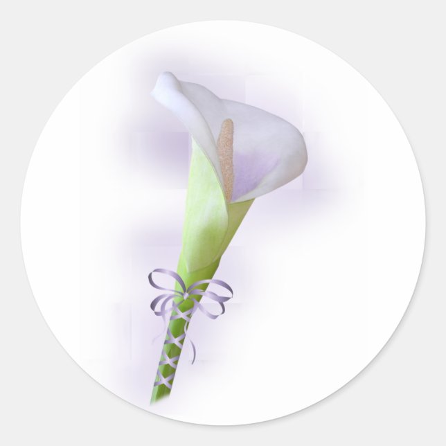 Lila Calla Lily Runt Klistermärke (Framsida)