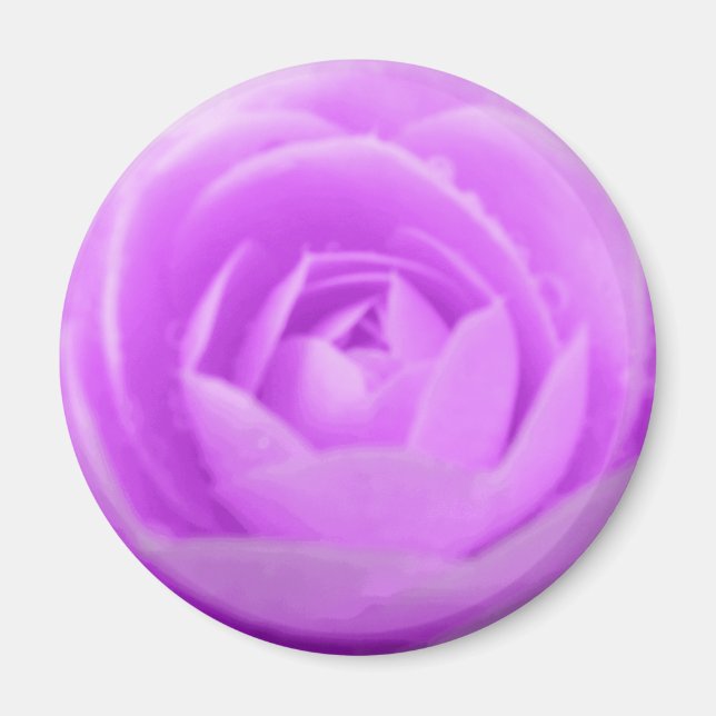 Lila Camellia Magnet (Framsidan)
