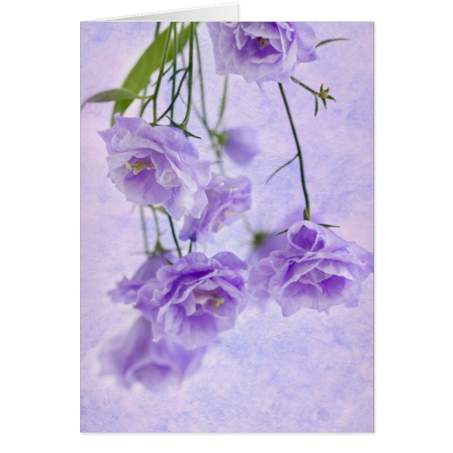 Lila Campanella Flowers-makrokort Hälsningskort (Framsidan)