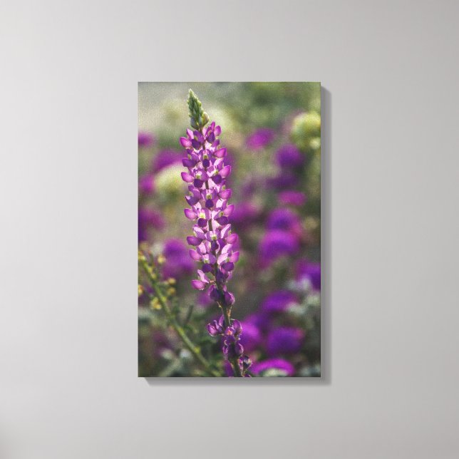 Lila Canvastryck (Framsida)