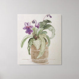 Lila Cape Primrose Watercolor Kanvastryck