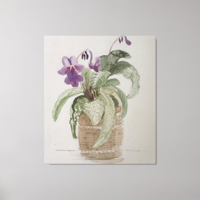 Lila Cape Primrose Watercolor Kanvastryck (Framsida)