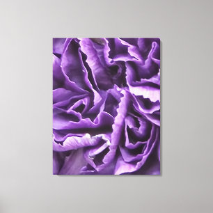 Lila Carnation Canvastryck