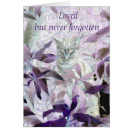 Lila Cat Sympathy Pet Loss Loss Hälsningskort