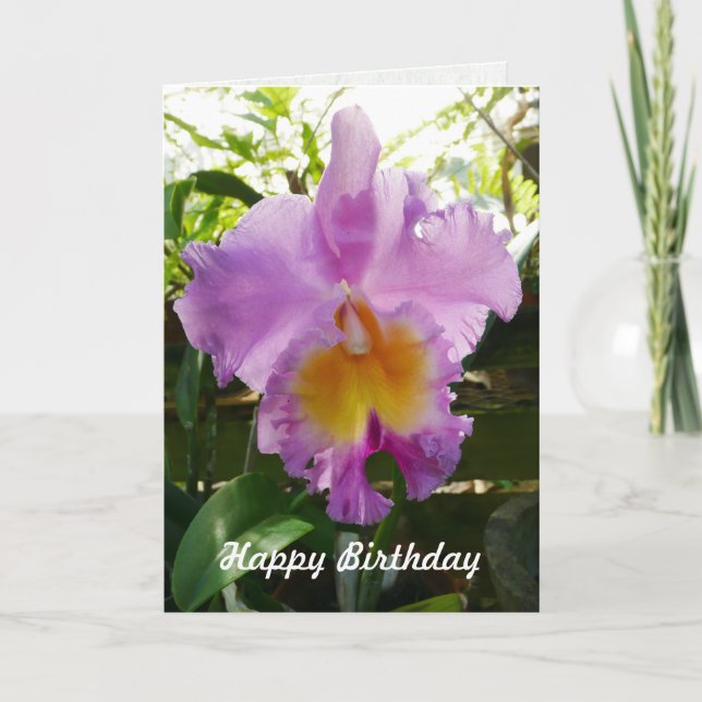 Lila Cattleya Orchid Tropical Flower-mall Kort (Framsida)