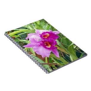 Lila Cattleya Orchids Anteckningsbok