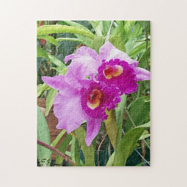 Lila Cattleya Orchids Pussel (Vertikal)