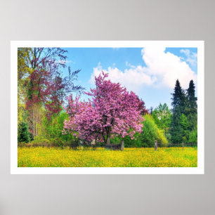 Lila Cherry Träd på Gult Flower Fält Poster