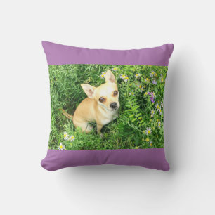 Lila Chihuahua dekorativ kudde. Kudde
