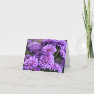 Lila Chinese Aster Bloom Helgkort