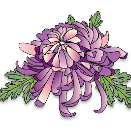 Lila Chrysanthemum Mugg