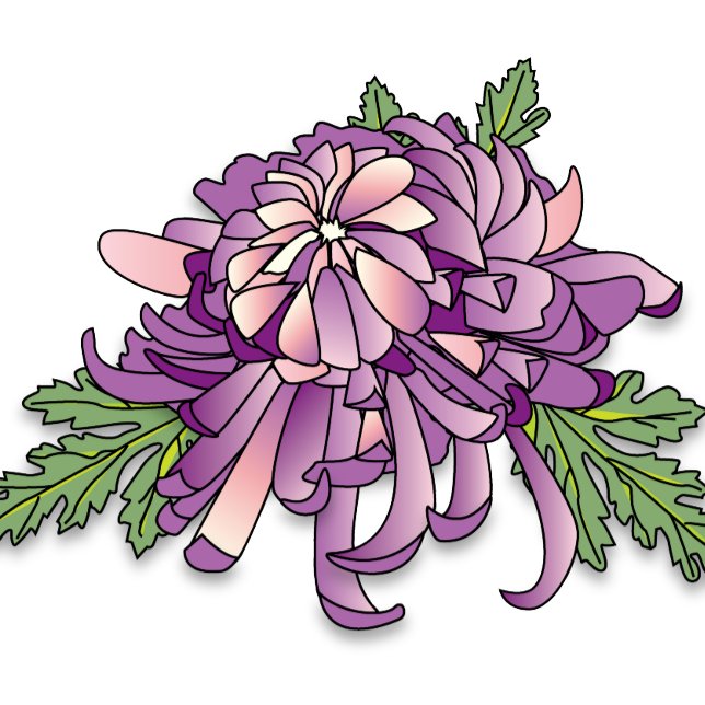 Lila Chrysanthemum Mugg (Skapare uppladdad)