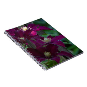 Lila Clematis-anteckningsbok Anteckningsbok Med Spiral